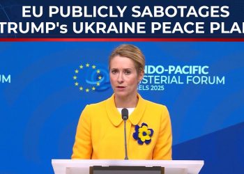 Một số nhận định về Kế hoạch Hoà bình của EU cho Ukraine – Phần đầu